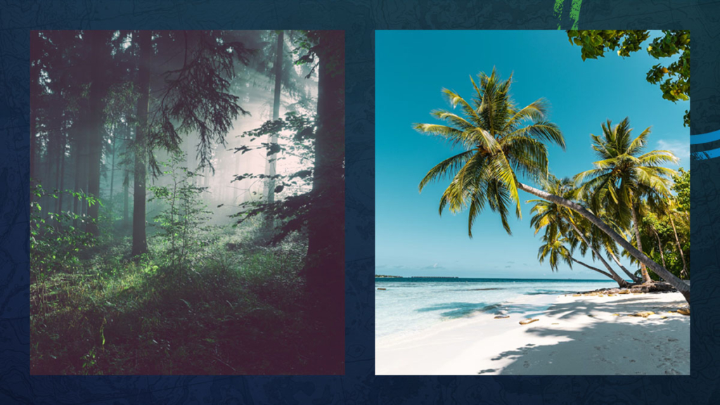 Side by side comparison of brand imagery, two nature images